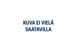 Fantic Fatbike Kammet