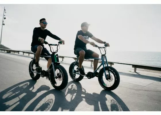 Ruff Cycles Lil'Buddy Sähköpyörä - Active Line - Sininen 8 Ruff Cycles Lil'Buddy Sähköpyörä - Active Line - Sininen - Image 6