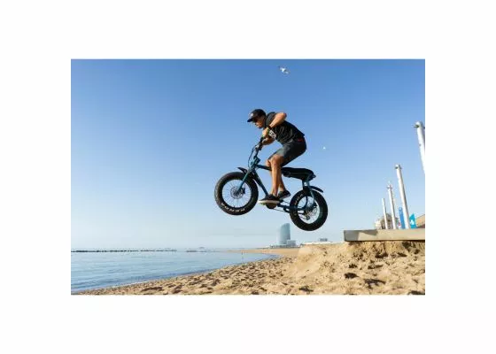 Ruff Cycles Lil'Buddy Sähköpyörä - Active Line - Sininen 7 Ruff Cycles Lil'Buddy Sähköpyörä - Active Line - Sininen - Image 5